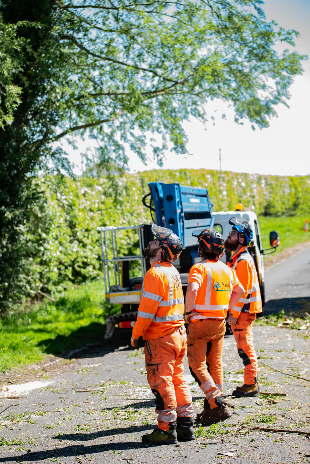 Three N&J Tree Services operatives wearing current branded orange PPE