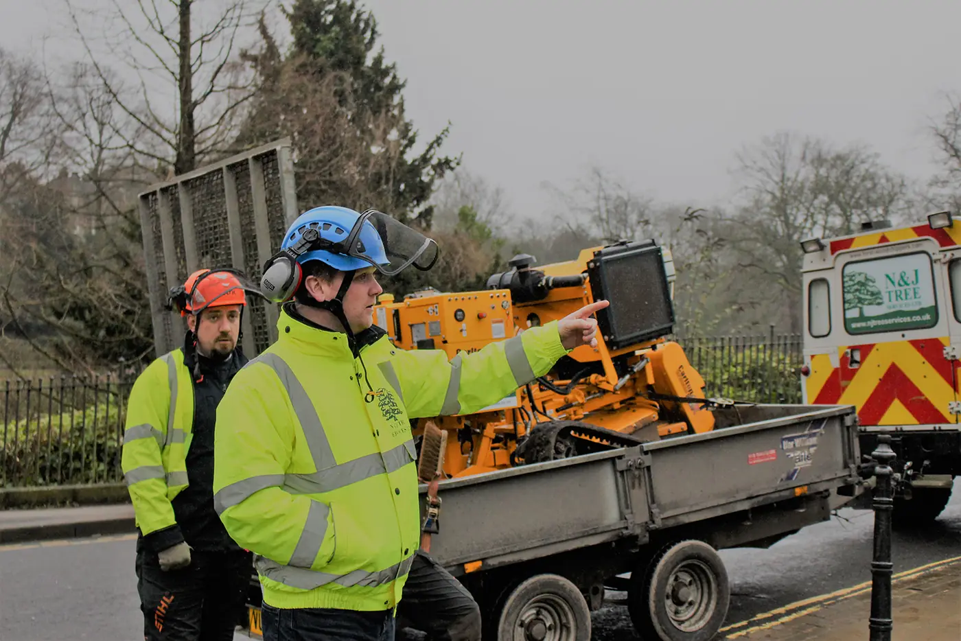 Buxton: Mechanical stump grinding project photograph 2
