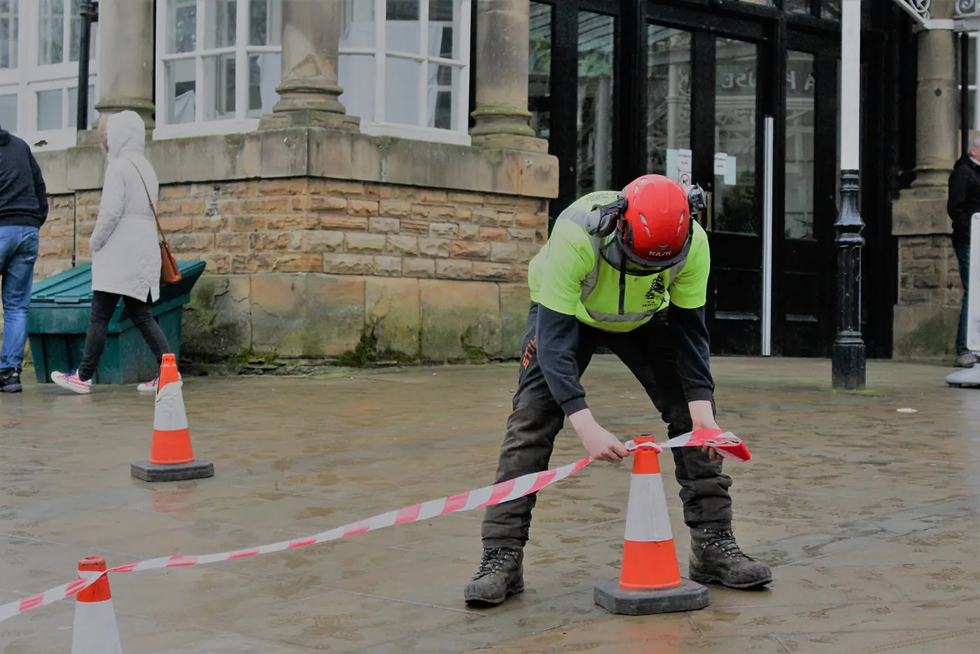 Buxton: Mechanical stump grinding project photograph 4
