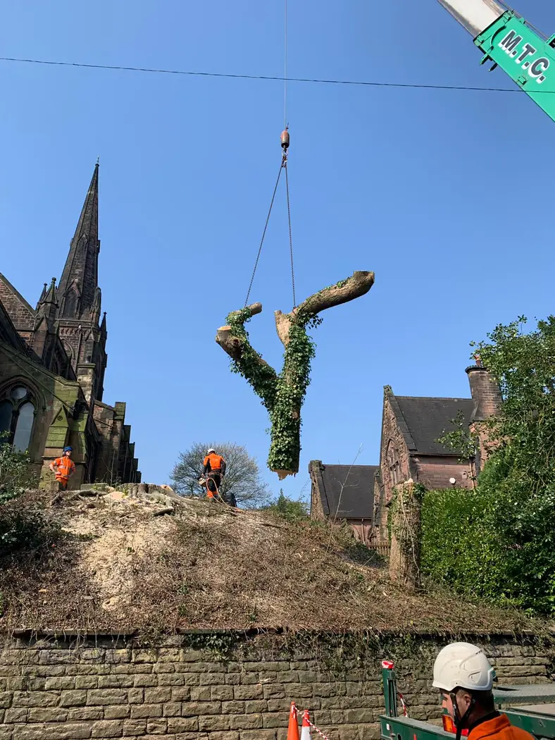 Church: Crane-assisted tree removal project