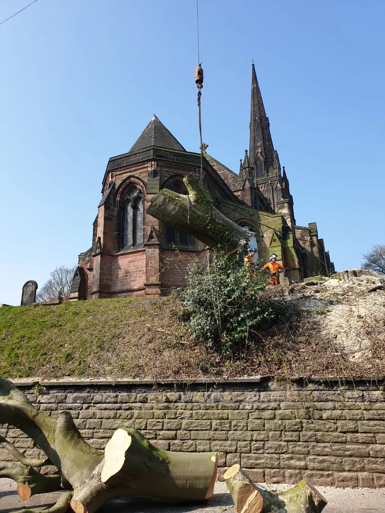 Church: Crane-assisted tree removal project photograph 3