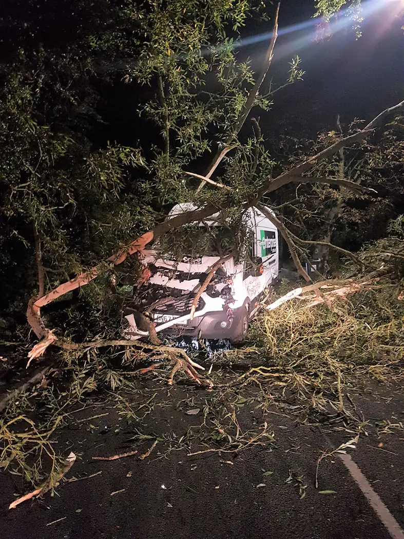 Emergency: Tree fallen on van project