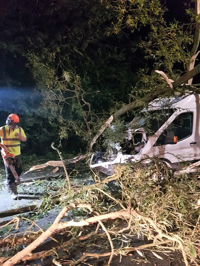 Emergency: Tree fallen on van project photograph 2
