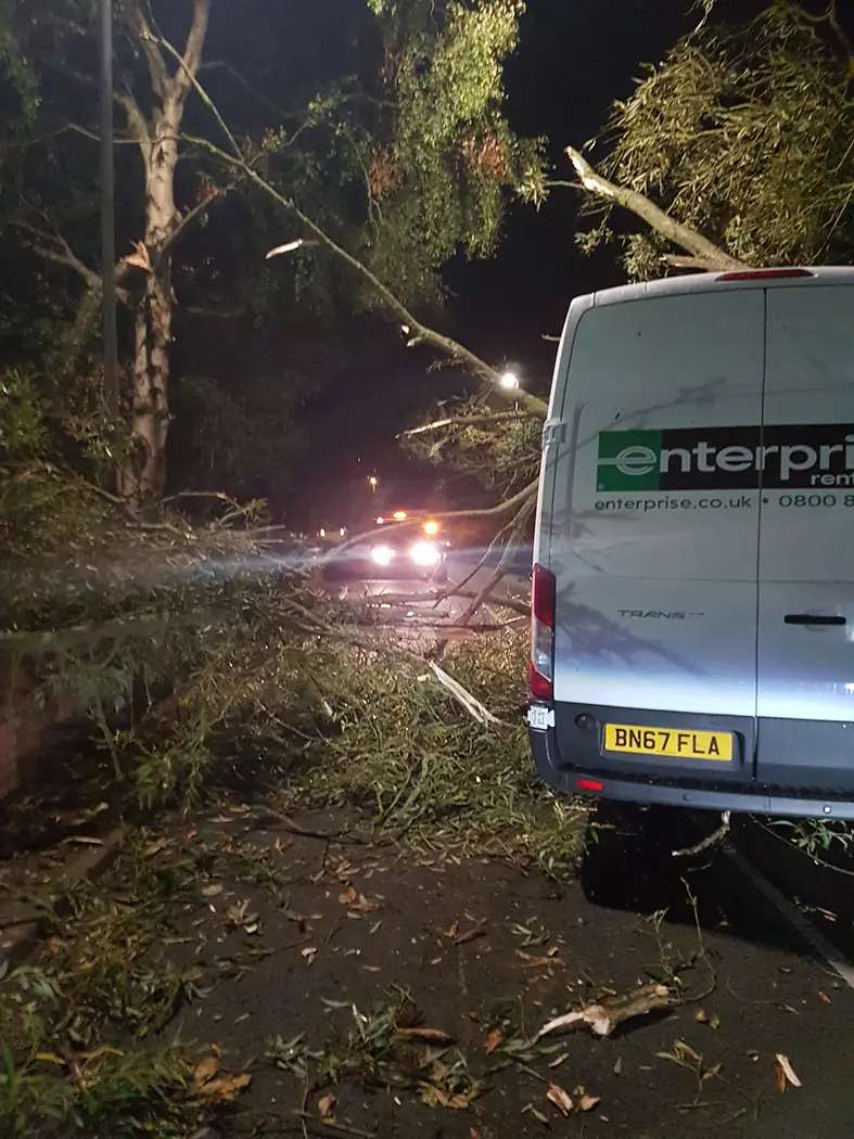 Emergency: Tree fallen on van project photograph 4