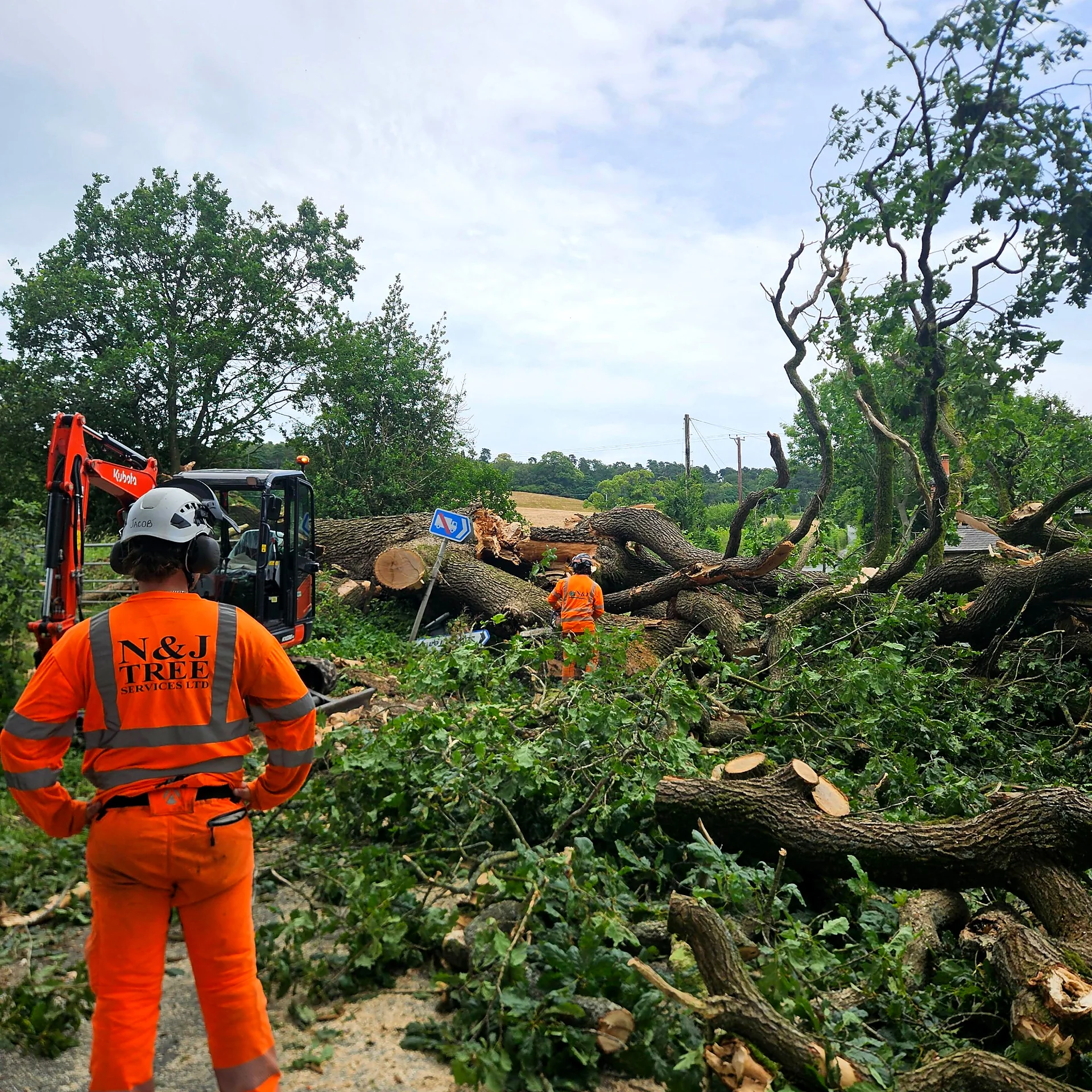 N&J arborists coordinating the mechanical clearance of the fallen oak