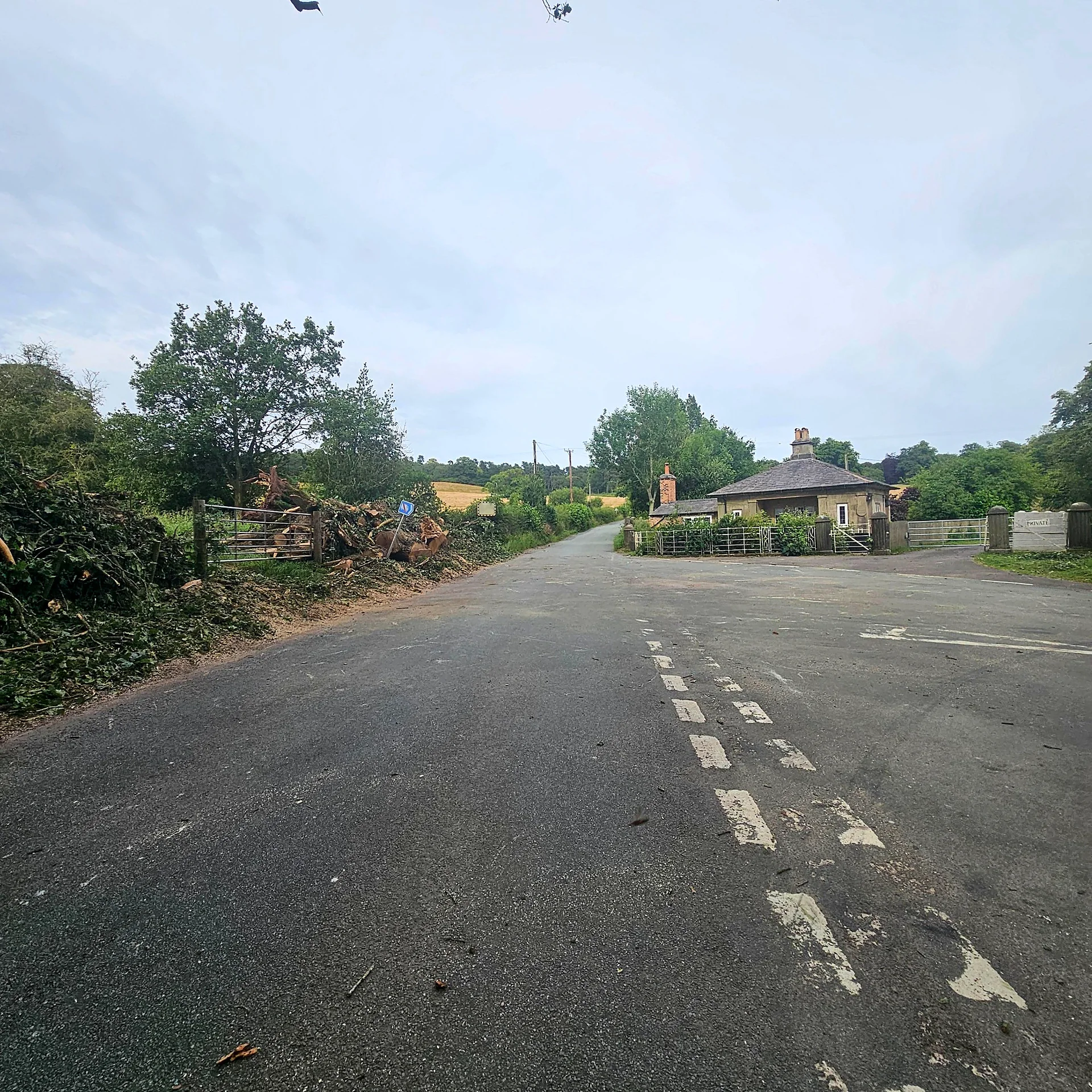 Hollington Road reopened after clearance of the fallen oak