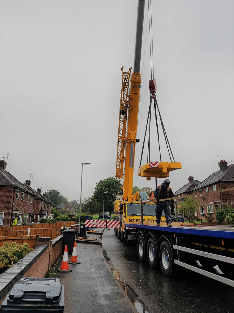 Langdale: Crane-assisted tree removal project
