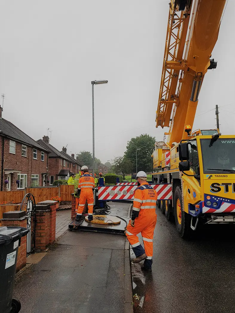 Langdale: Crane-assisted tree removal project photograph 2