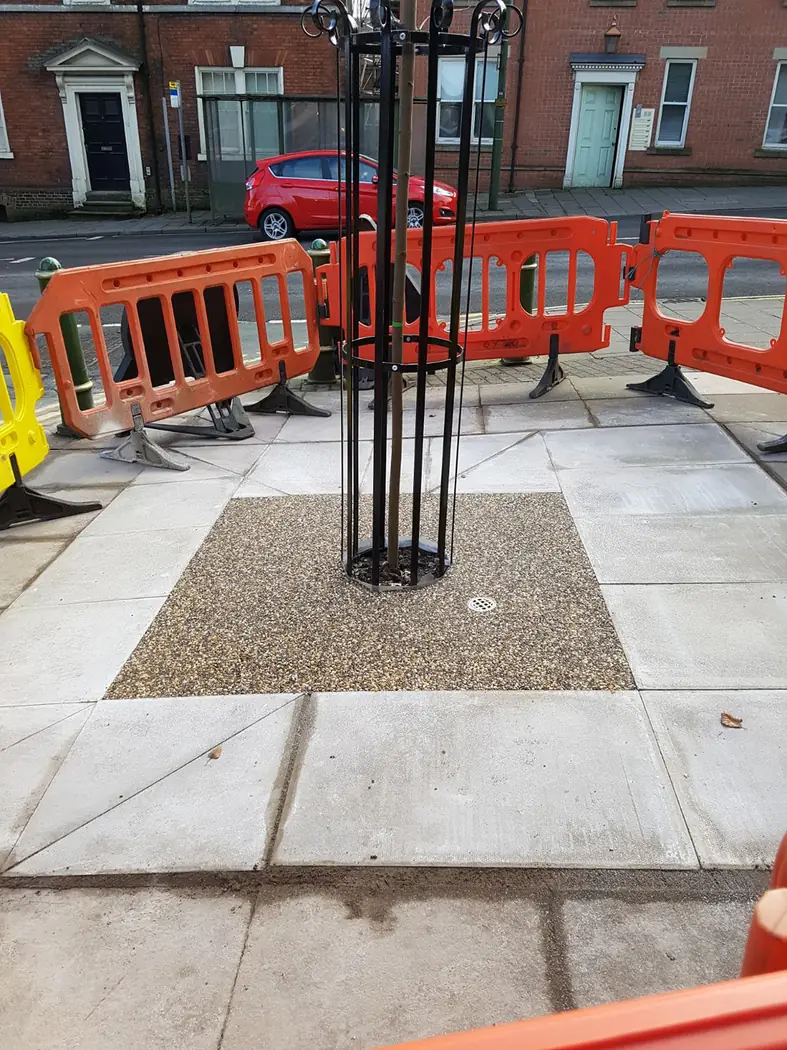 Leek: Tree planting project photograph 3