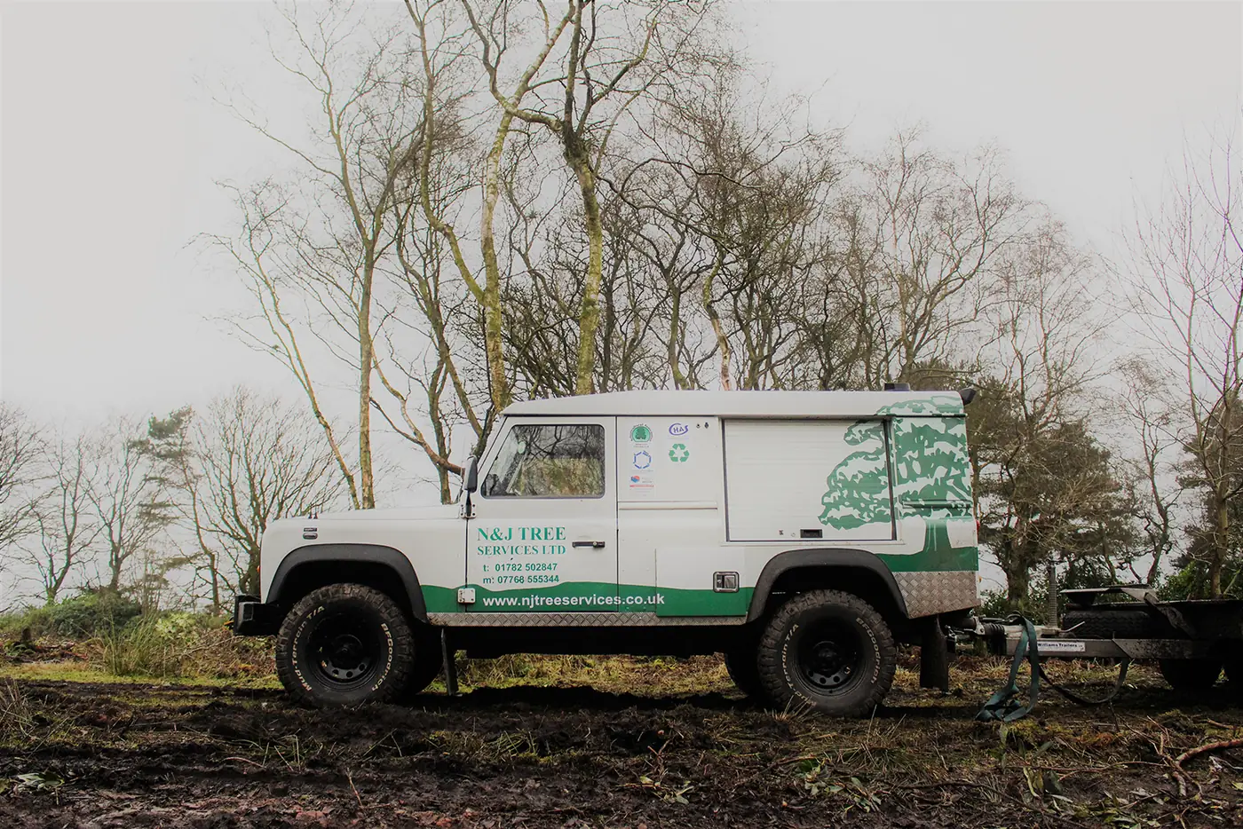 Martins Hill: Infected Rhododendron clearance project photograph 4