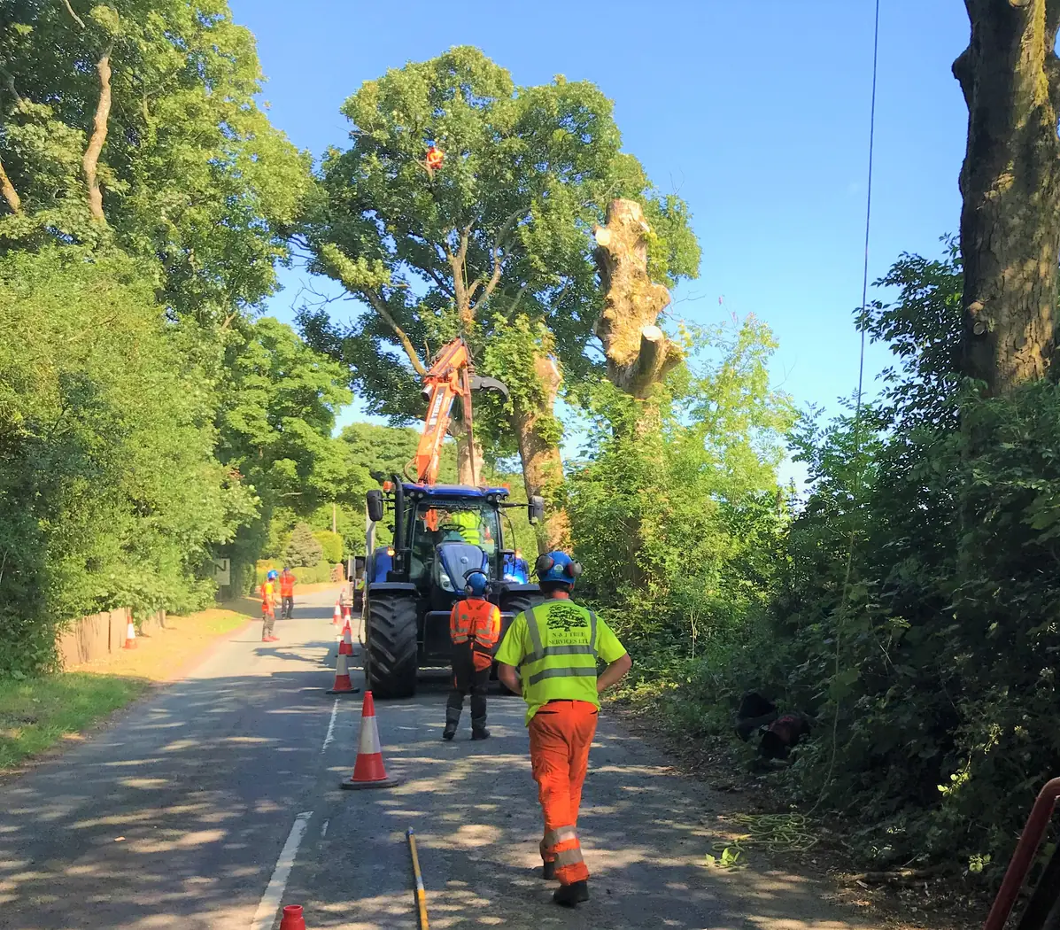 Staffordshire: Deadwood removal project