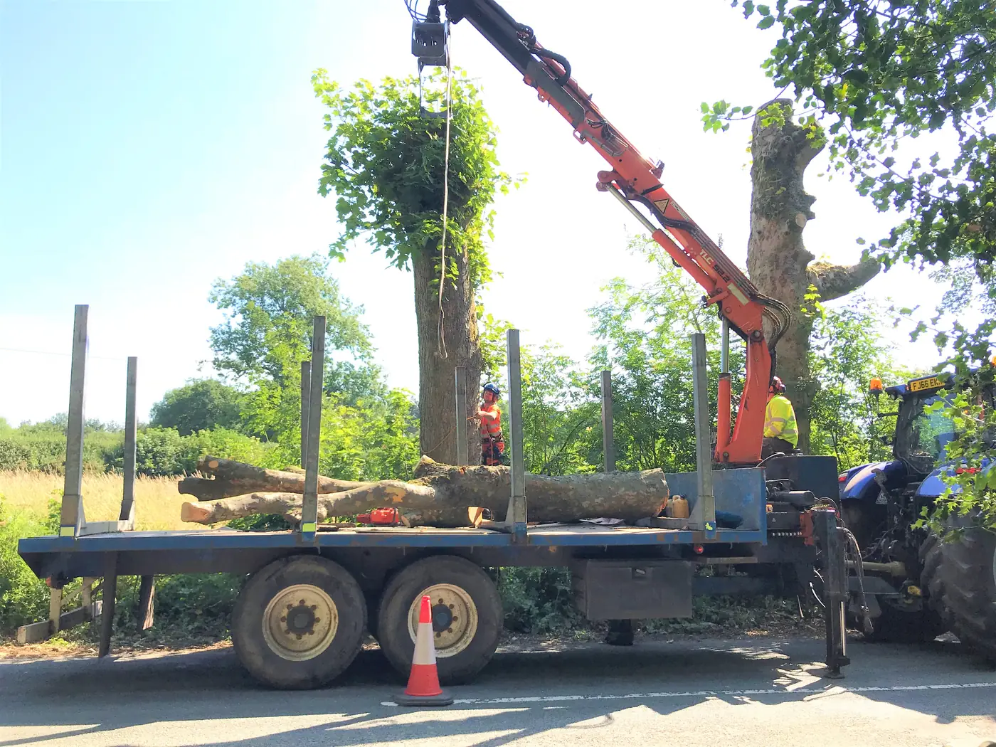 Staffordshire: Deadwood removal project photograph 2