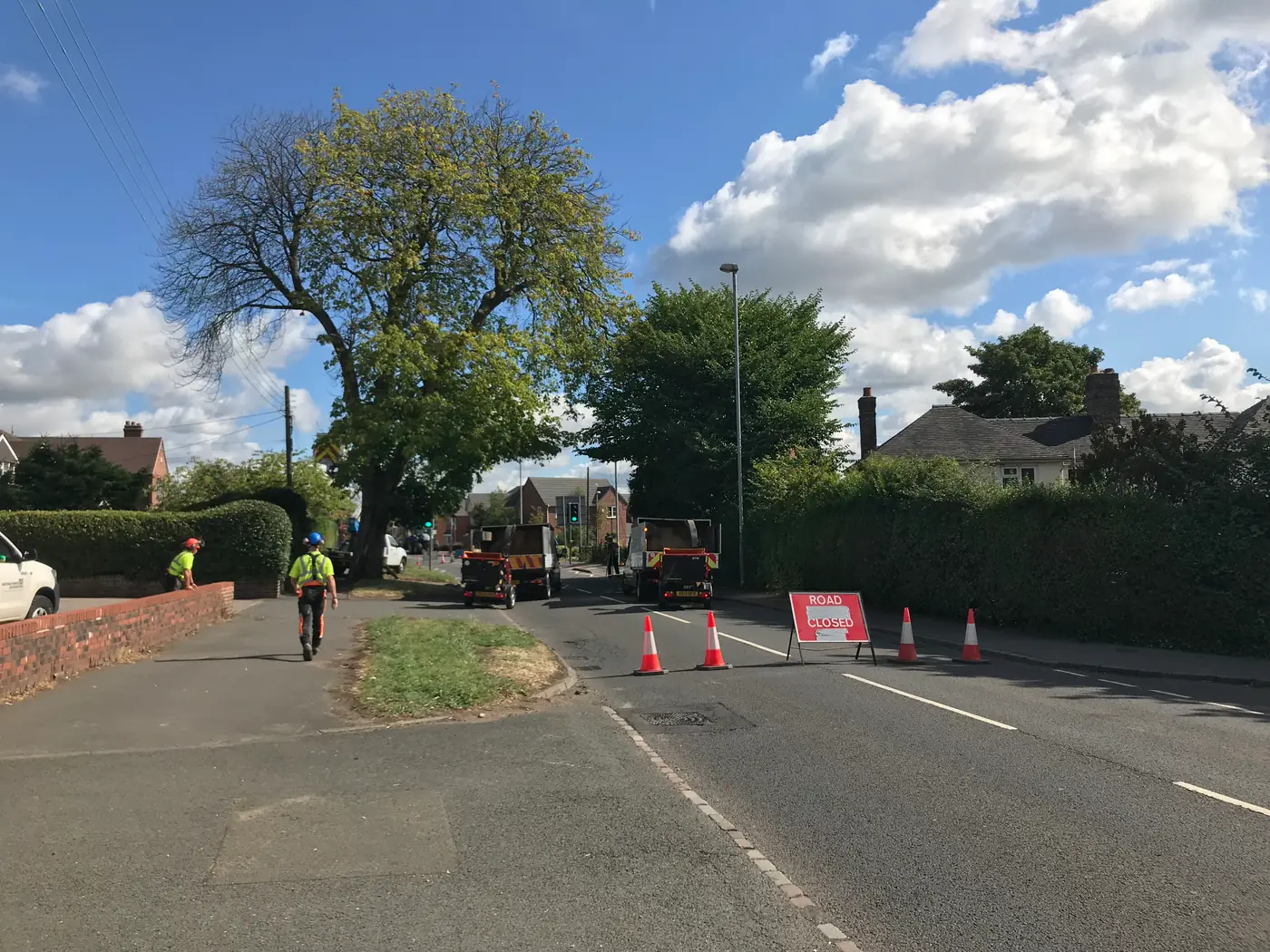 Weston Coyney: Crane-assisted tree removal project photograph 3