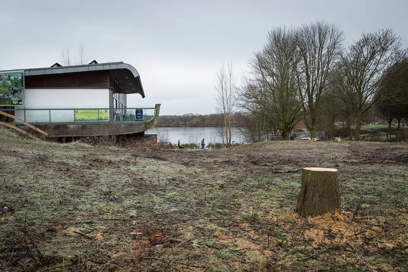 Westport Lake: Mechanical stump grinding project