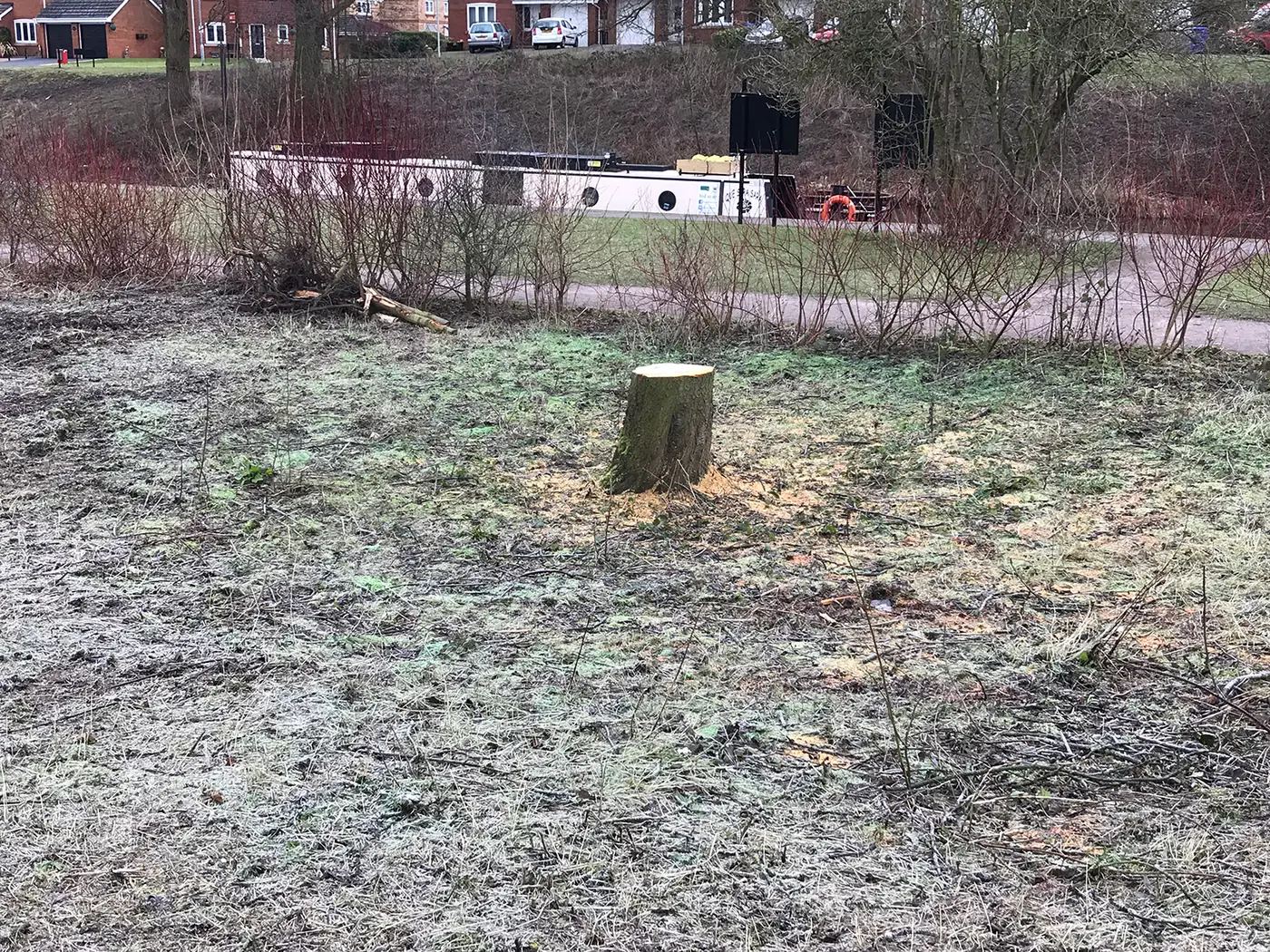 Westport Lake: Mechanical stump grinding project photograph 2