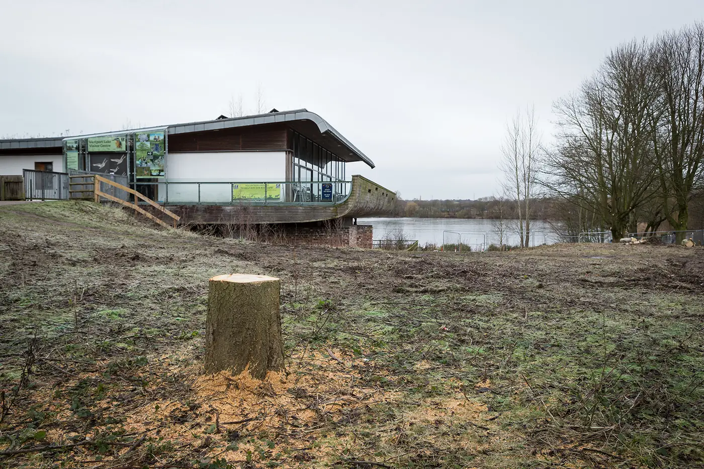 Westport Lake: Mechanical stump grinding project photograph 3