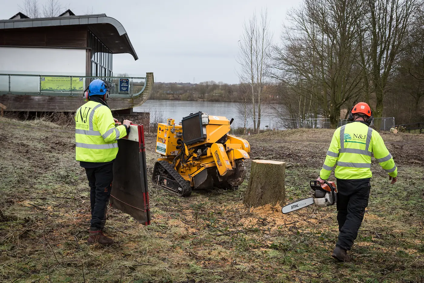 Westport Lake: Mechanical stump grinding project photograph 4