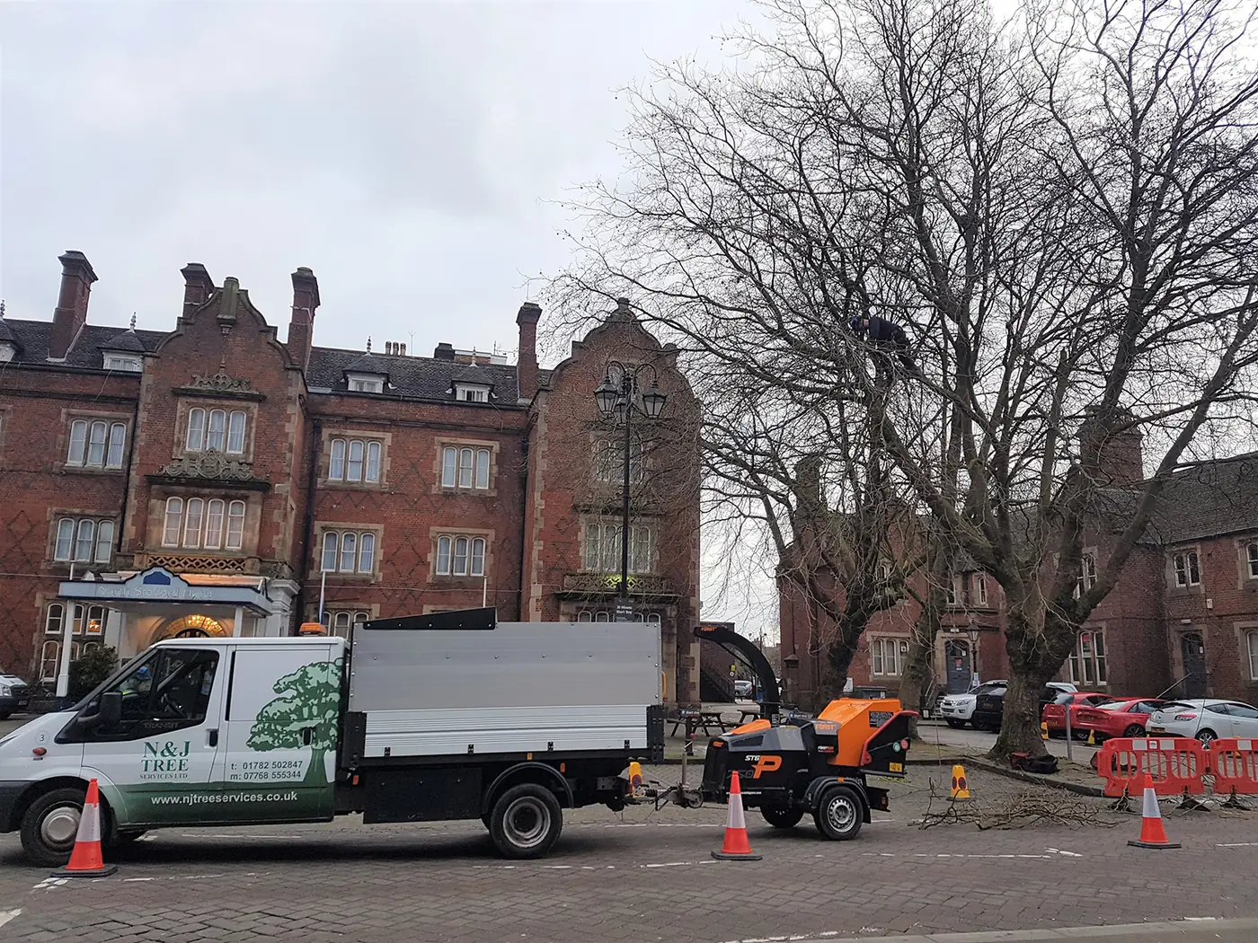 Winton Square: Urban tree management project
