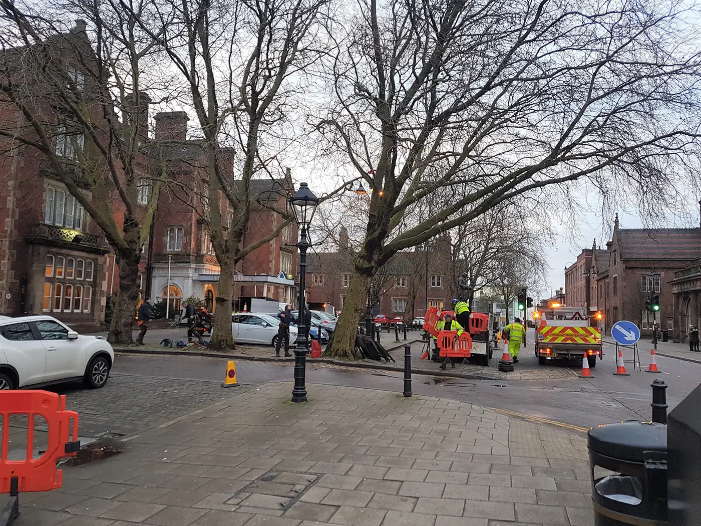 Winton Square: Urban tree management project photograph 2