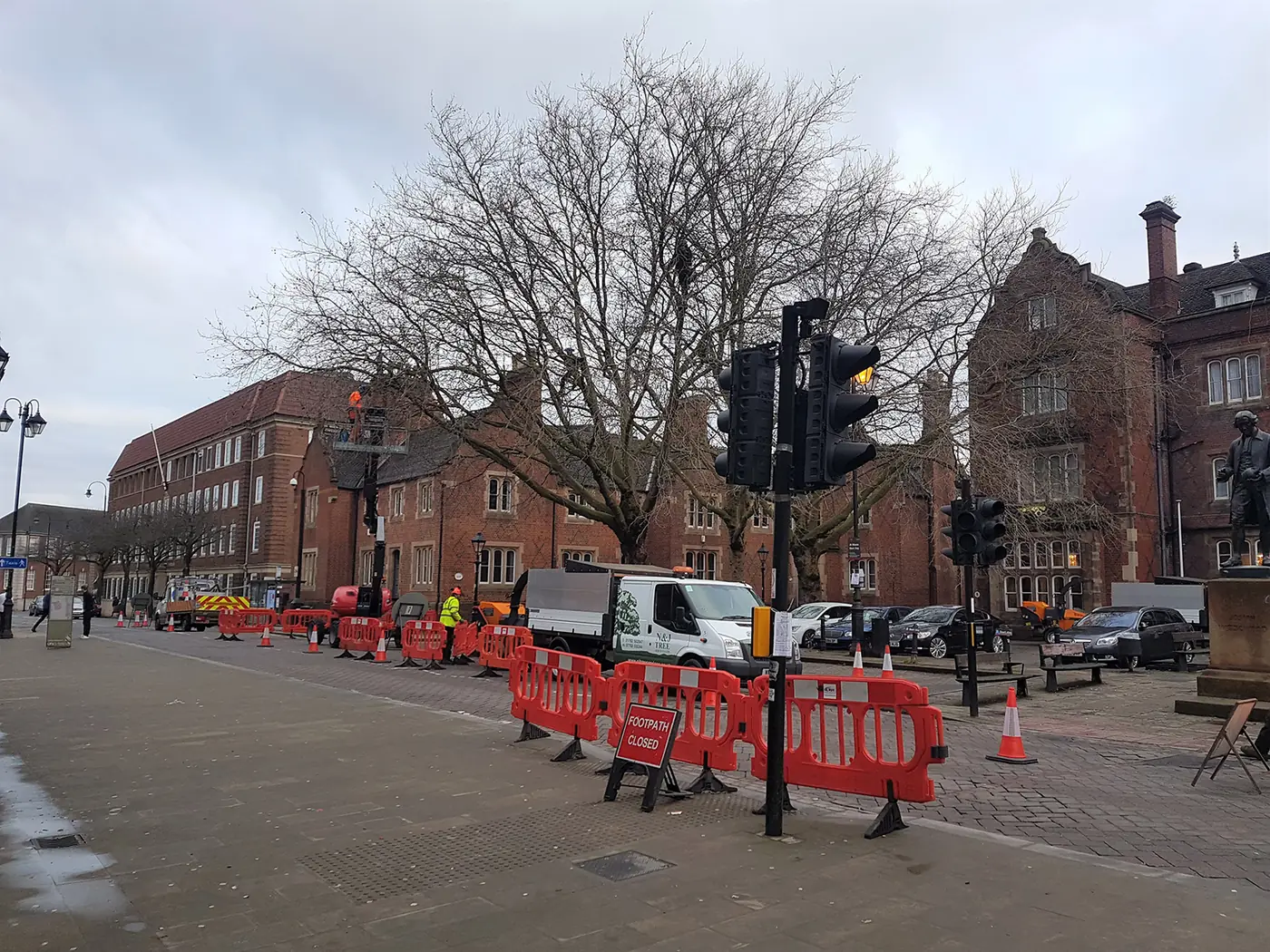 Winton Square: Urban tree management project photograph 3