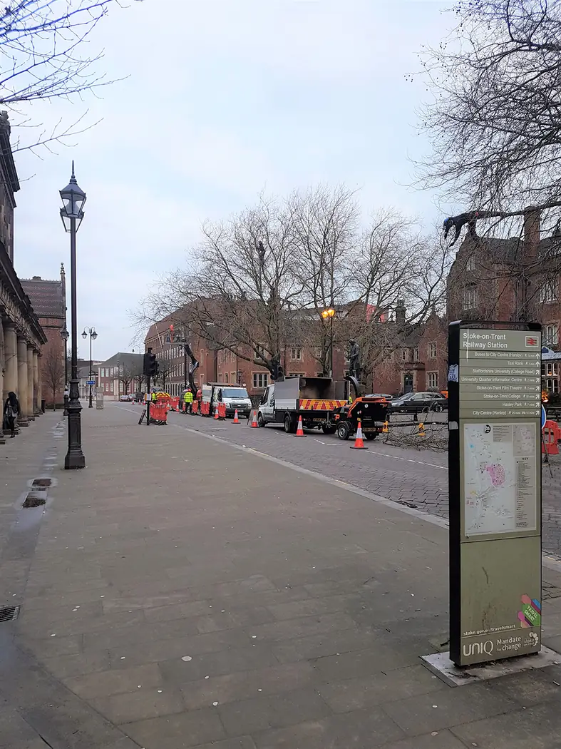 Winton Square: Urban tree management project photograph 4