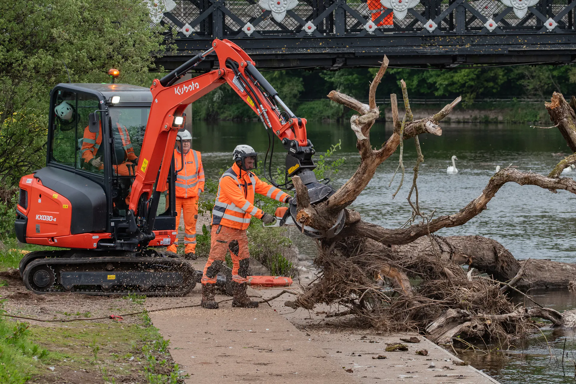 N&J Tree Services crew and excavator managing a fallen tree beside a bridge
