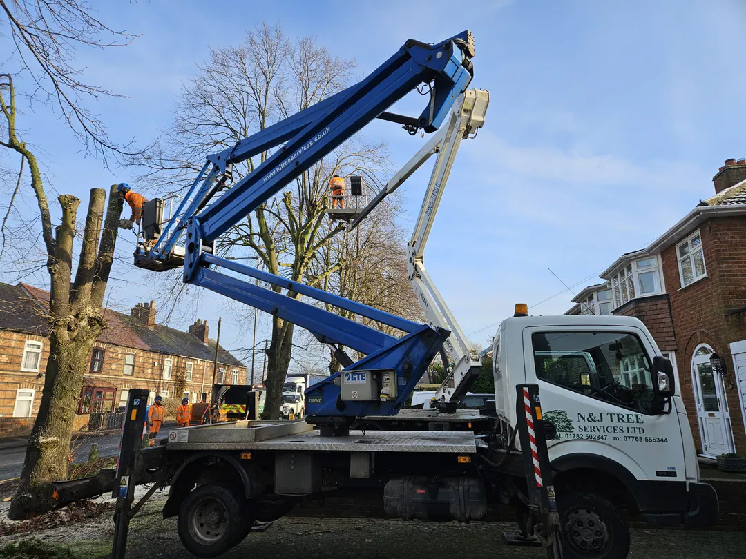 N&J Tree Services crews using two mobile elevating work platforms beside occupied homes