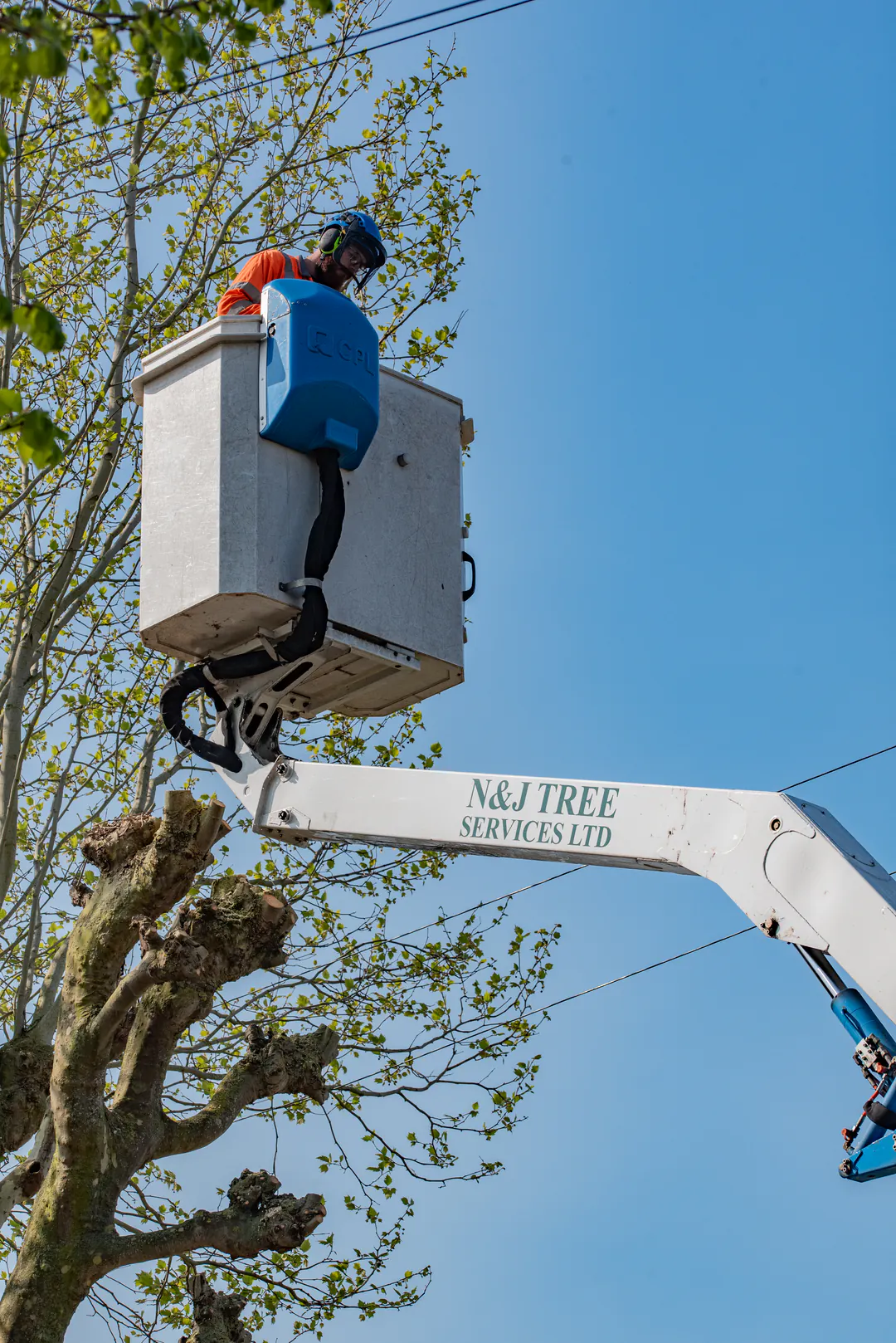 N&J Tree Services operative working from a branded mobile elevating work platform
