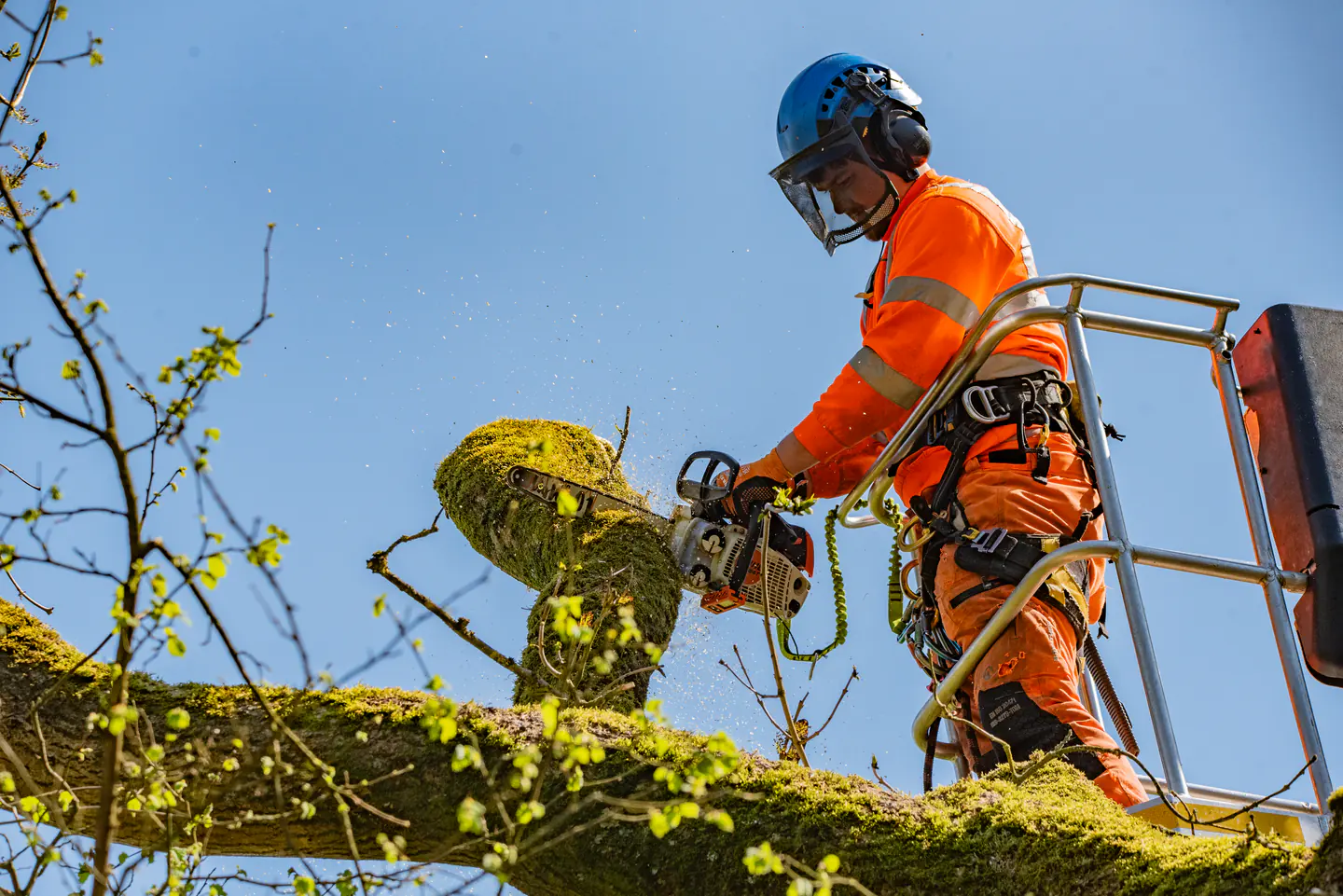 N&J Tree Services arborist in current orange PPE pruning a tree from a MEWP