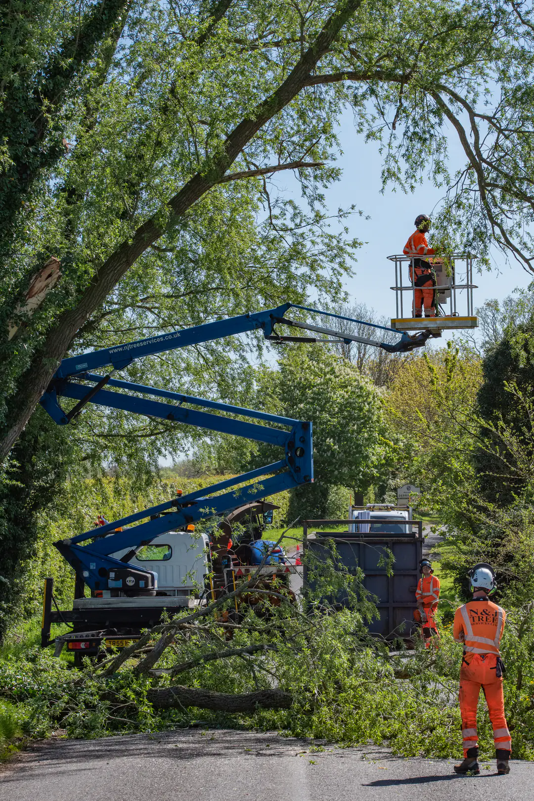 N&J Tree Services MEWP and ground crew coordinating tree work in a managed environment