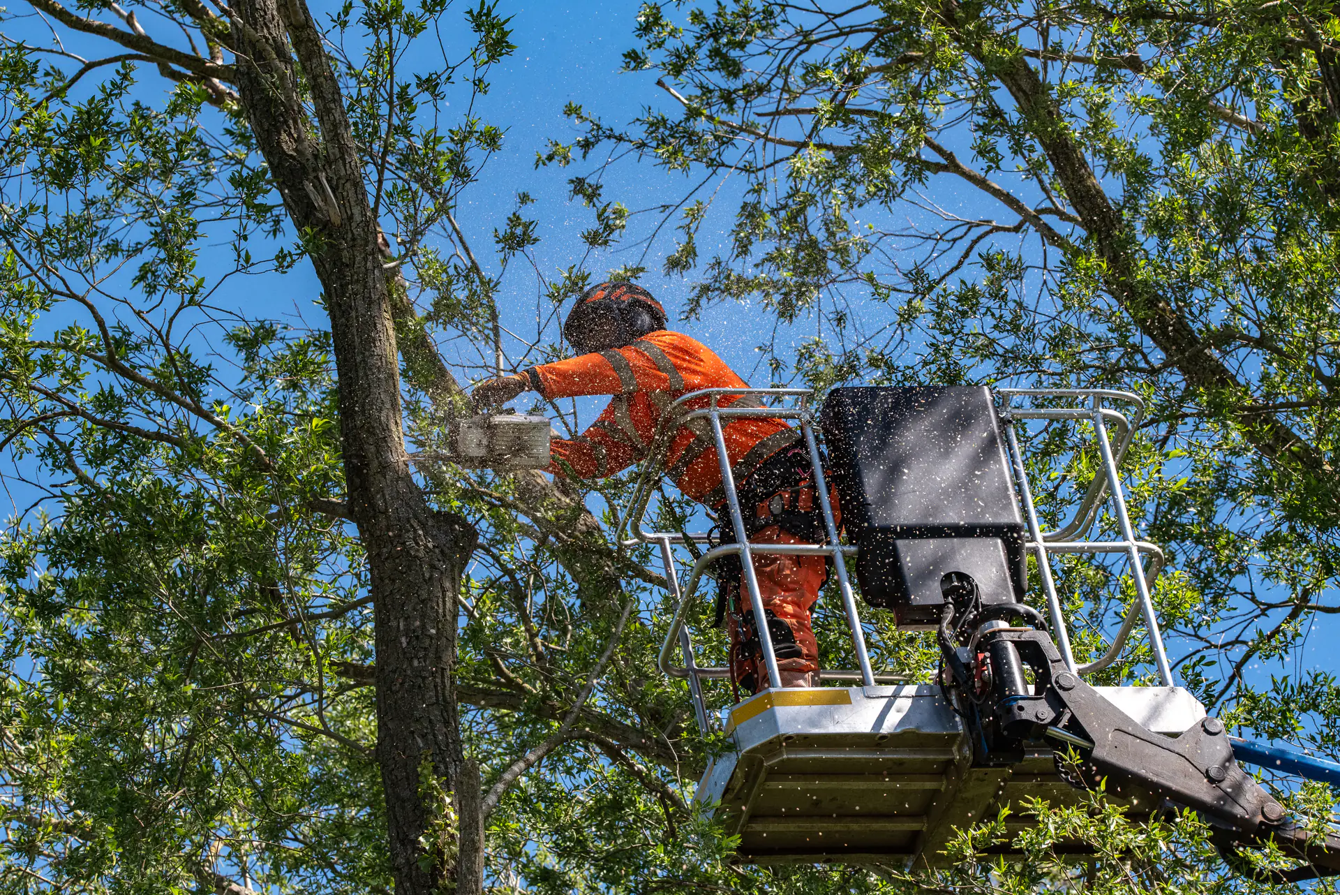 N&J Tree Services arborist cutting branches from a mobile elevating work platform